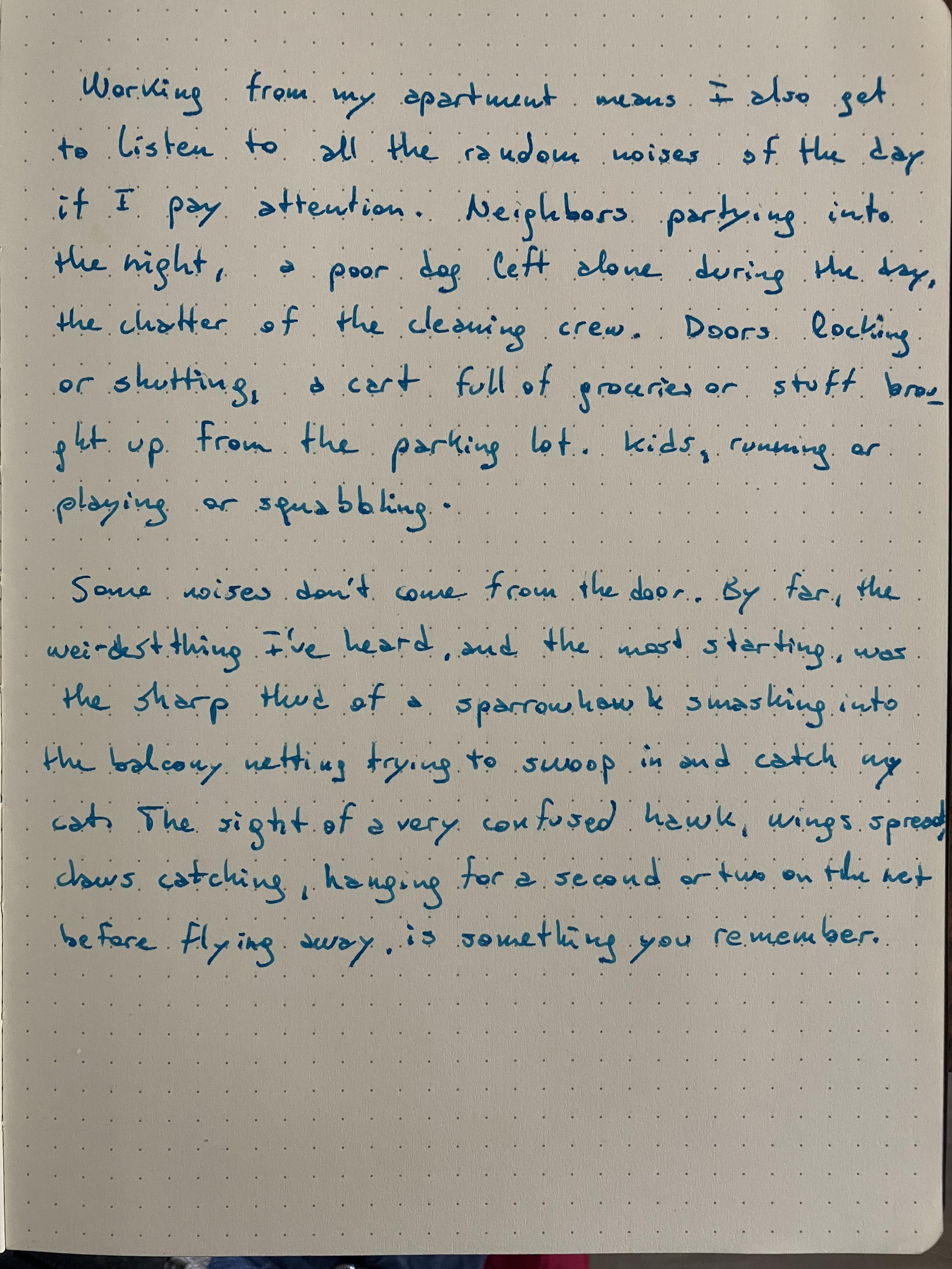 A page from a notebook, with the text of the post written with a fountain pen in blue ink